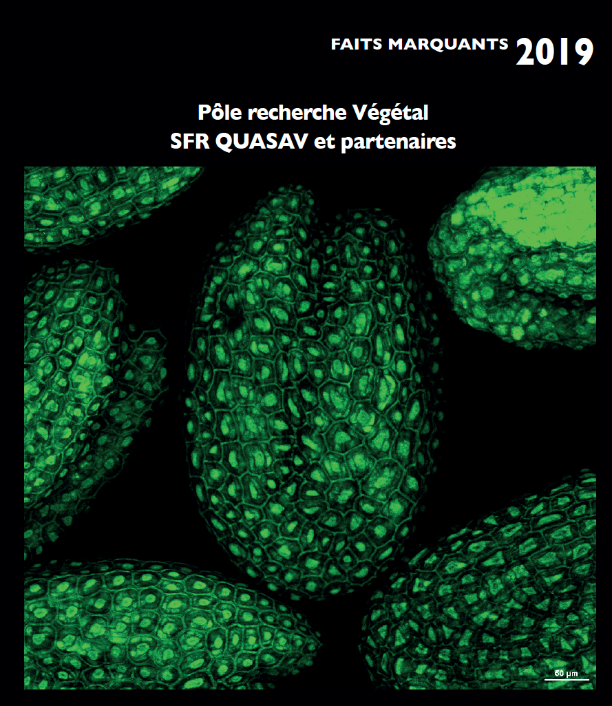 Faits Marquant 2019 - Pôle Recherche végétal - SFR QUASAV et partenaires
