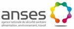 ANSES