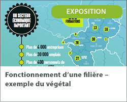 Vignette expo filiere vegetal