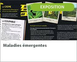 Vignette expo maladies emergentes