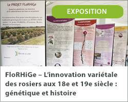 Vignette expo rosier histoire