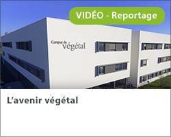 Vignette video avenir vegetal