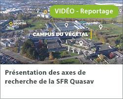 Vignette video presentation SFR Quasav