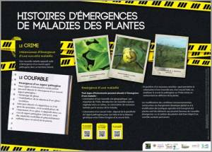 Vignette2 expo maladies emergentes