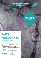 Faits marquants 2023
