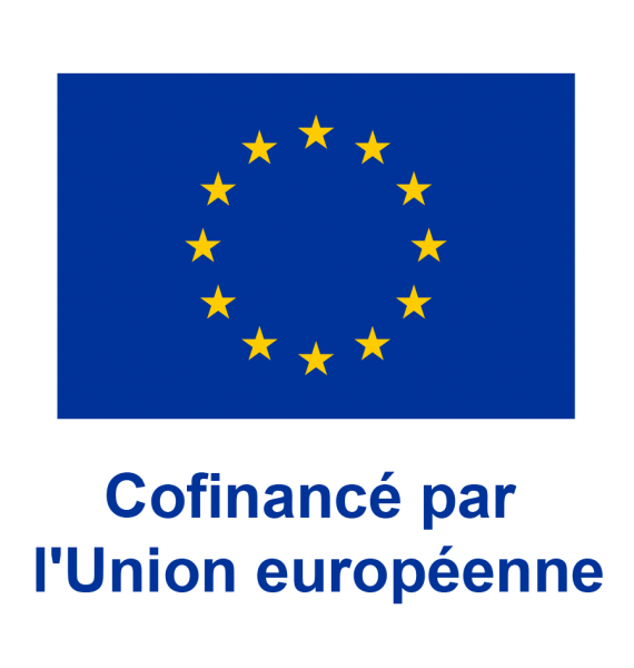 Cofinance_UE_vertical_png