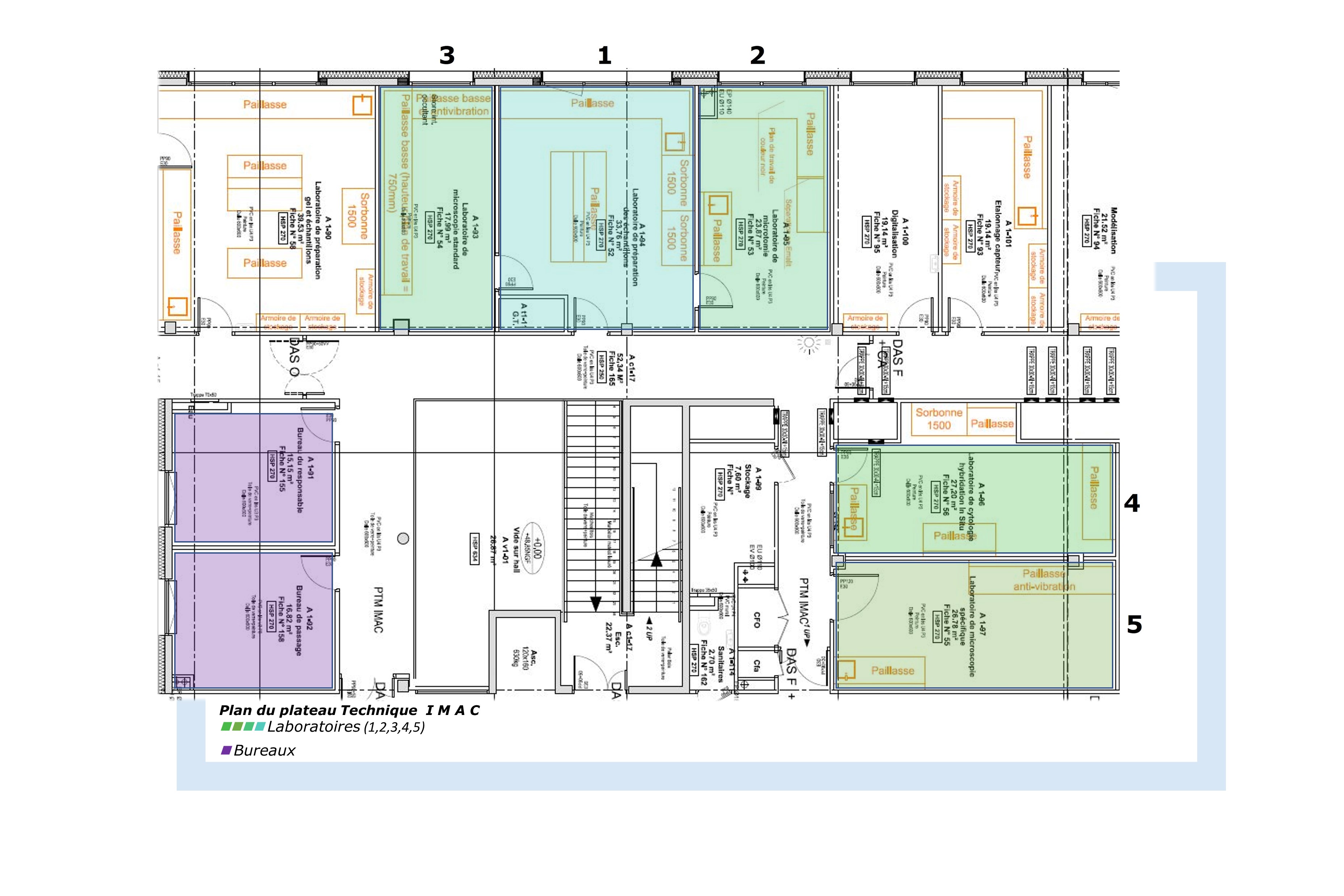 Plan IMAC